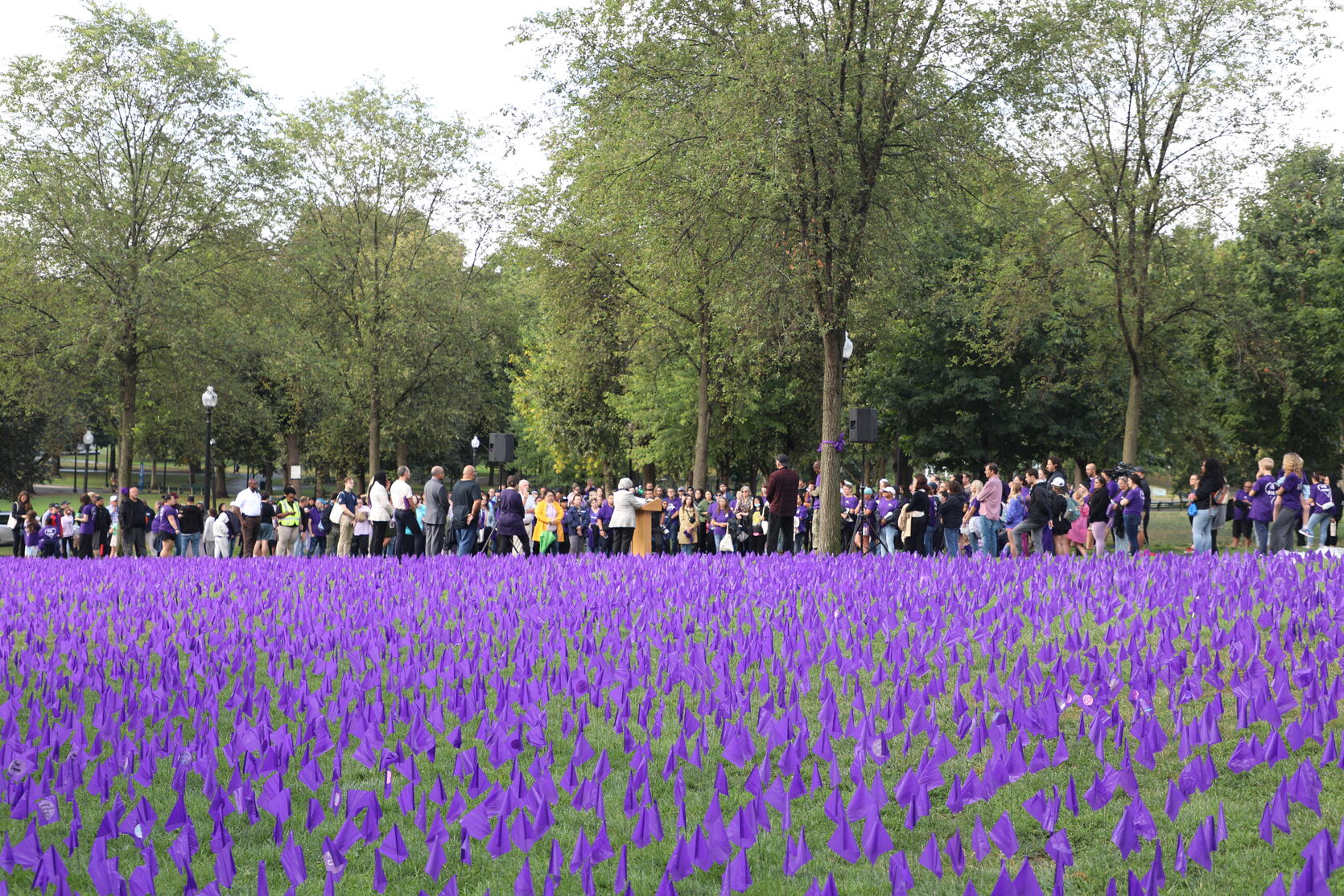 Thousands of purple flags planted in the grass at Boston Common with a group of people gathered.