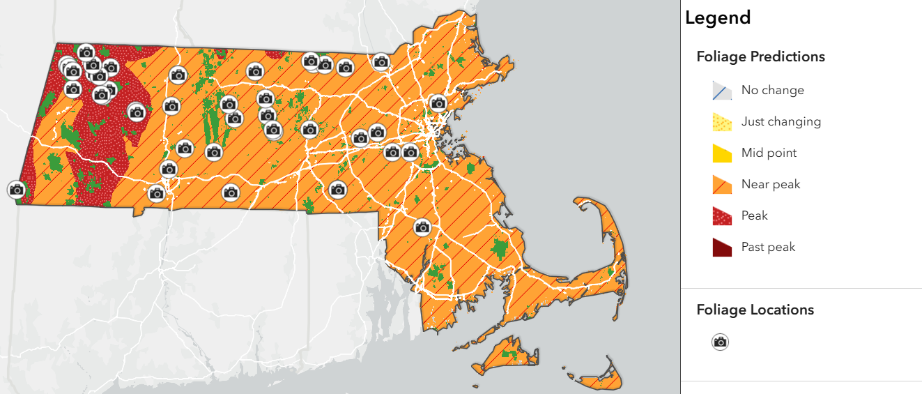 map of mass foliage