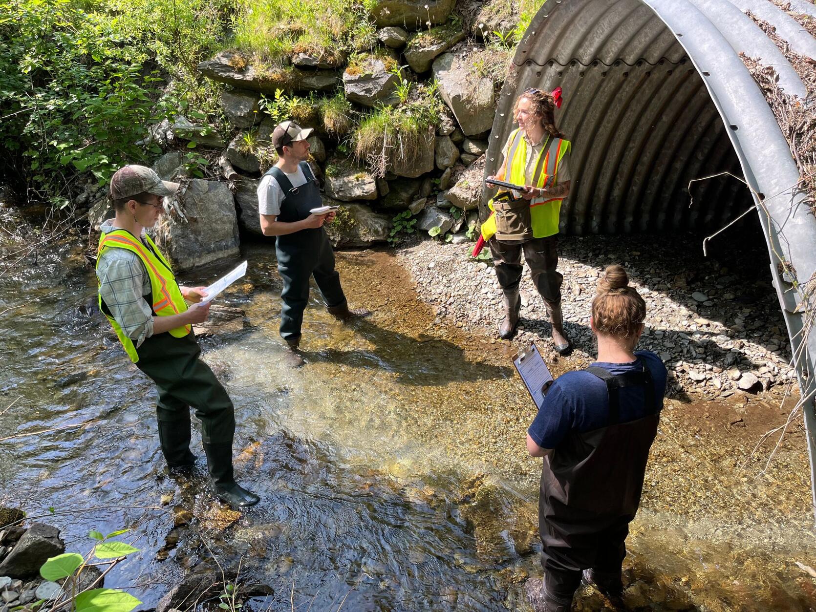 The Berkshire Clean, Cold, Connected Restoration Partnership is working with communities to prioritize culvert assessments and replacements.