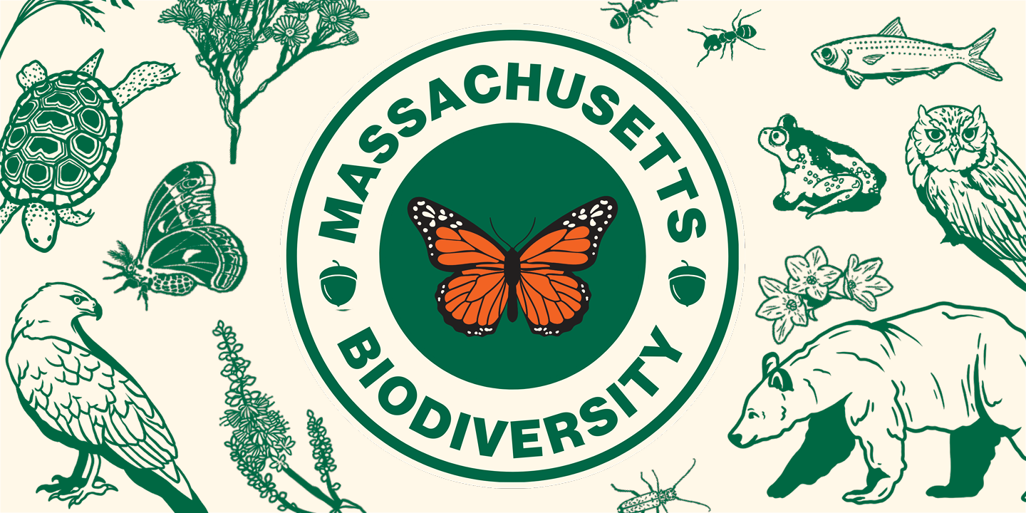 Massachusetts biodiversity logo features monarch and acorn.