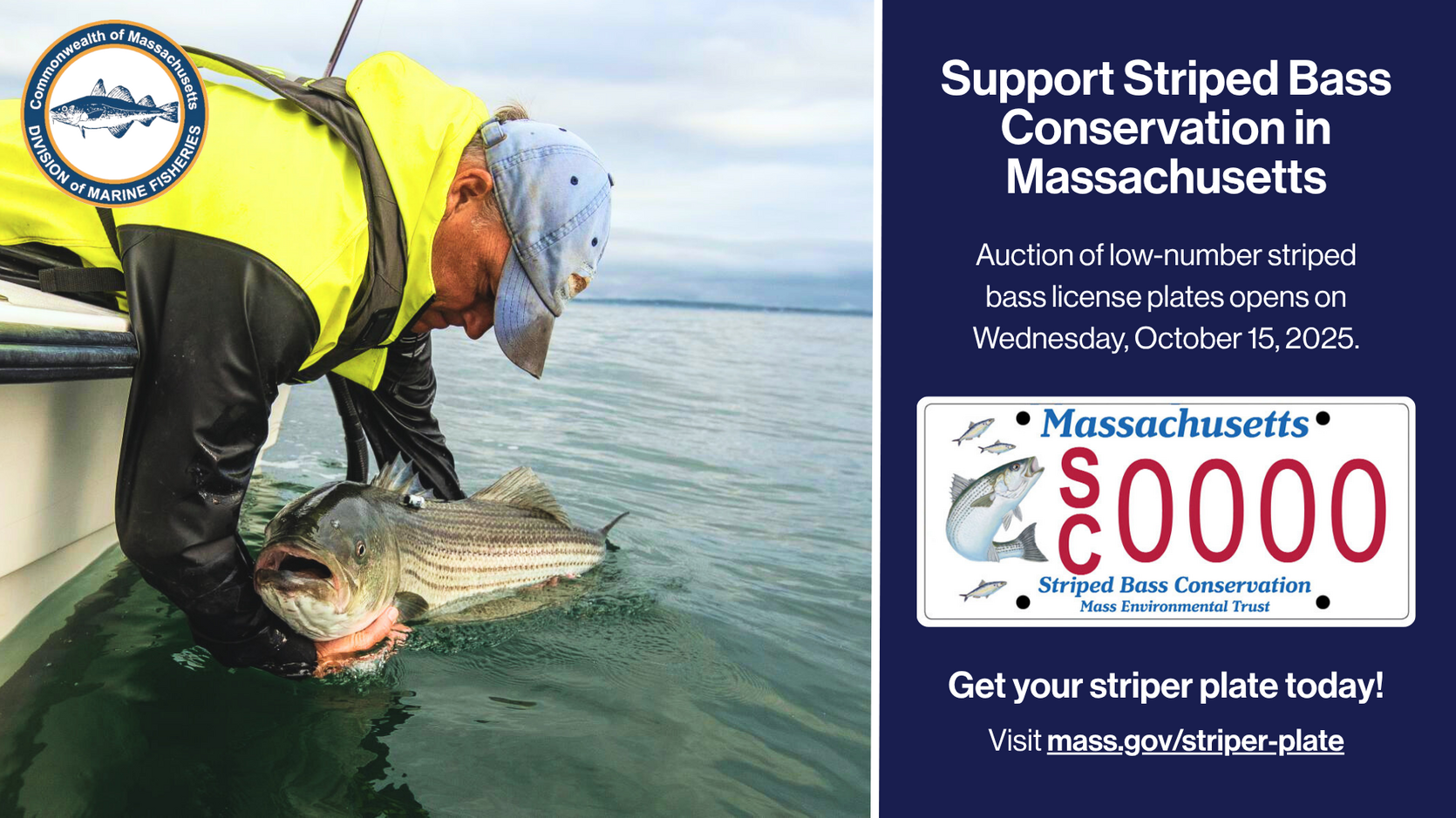 Support striped bass conservation in Massachusetts! Auction of low number striped bass plates opens on October 15