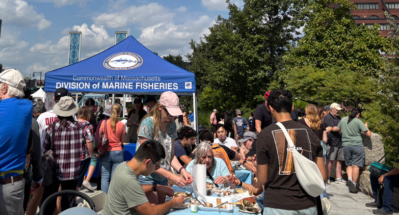 A group of people stand in front of a Division of Marine Fisheries tent serving cooked Jonah crab in Boston. 