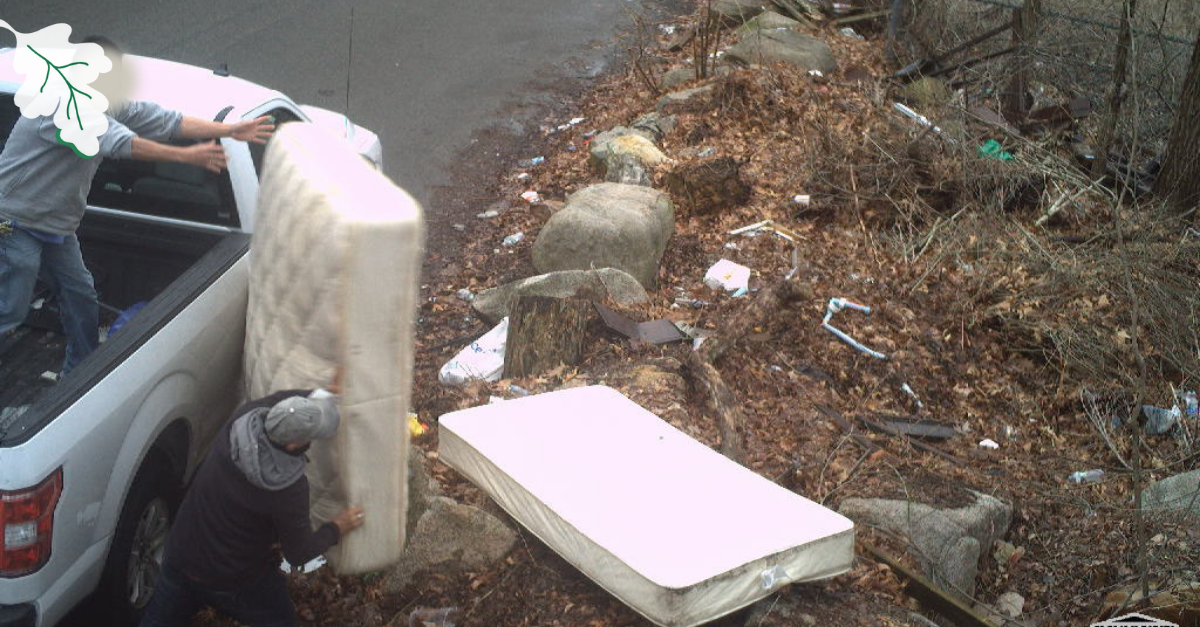 white truck dumping mattresses