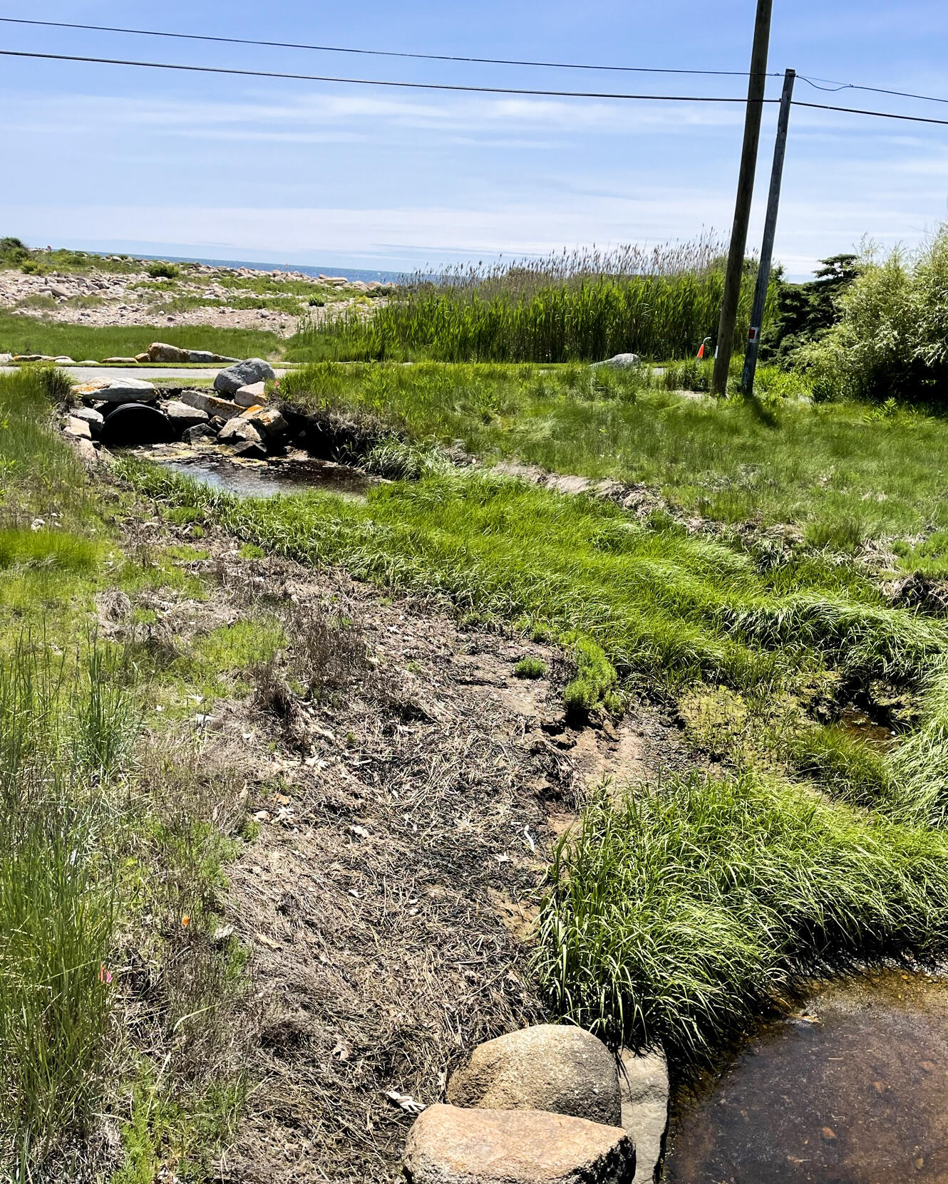 Salt marsh and tidal inlet