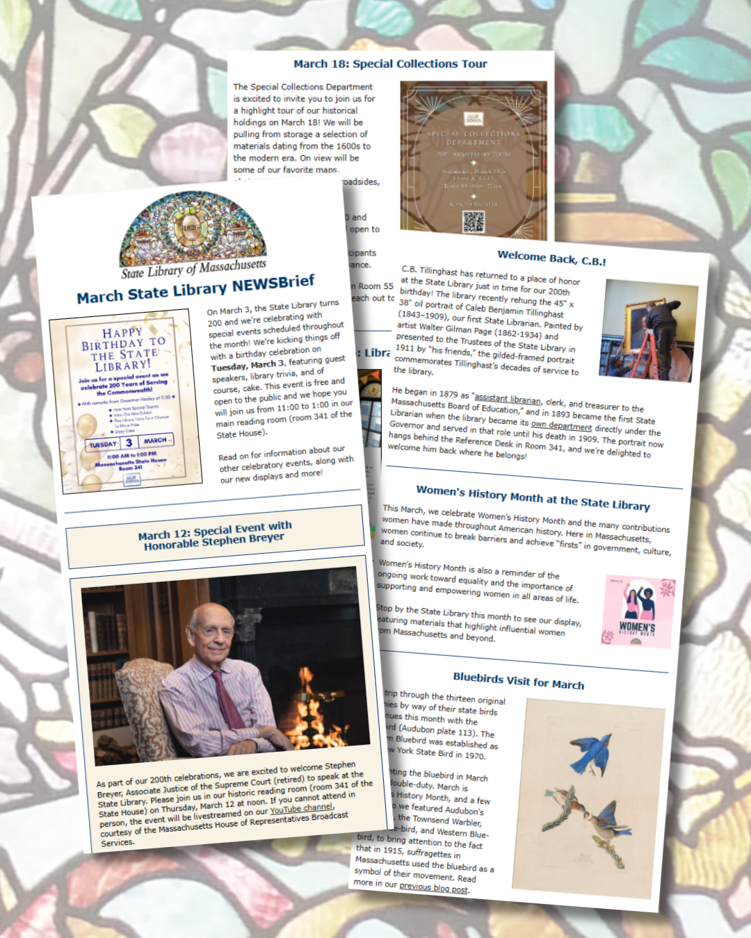 March NewsBrief image