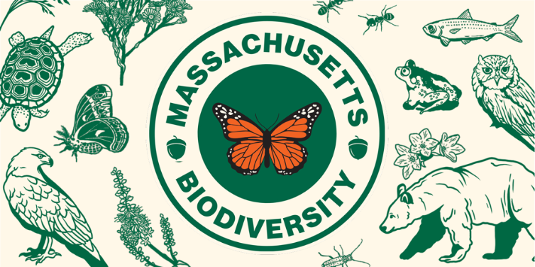 Massachusetts Biodiversity Graphic 