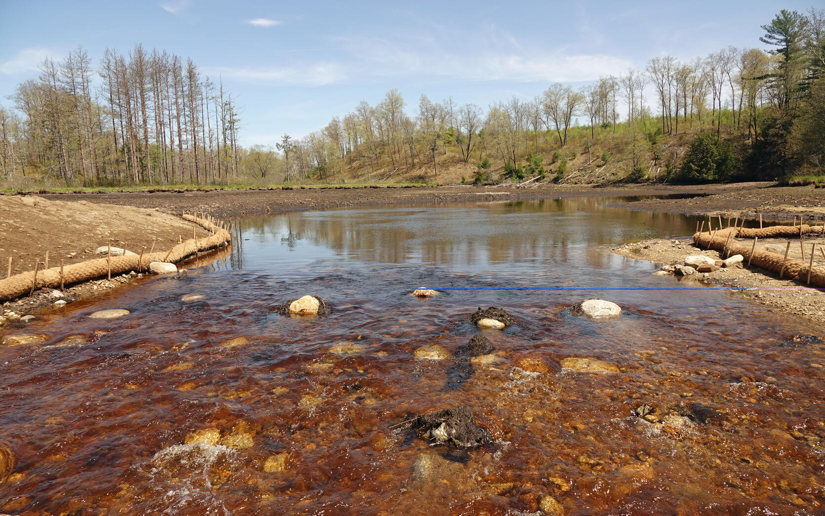 a streambed from a recent dam removal project