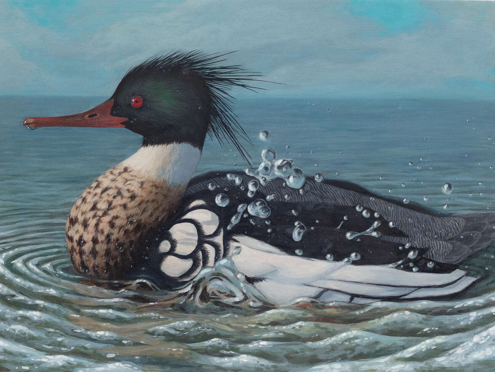 painting of a red-breasted merganser