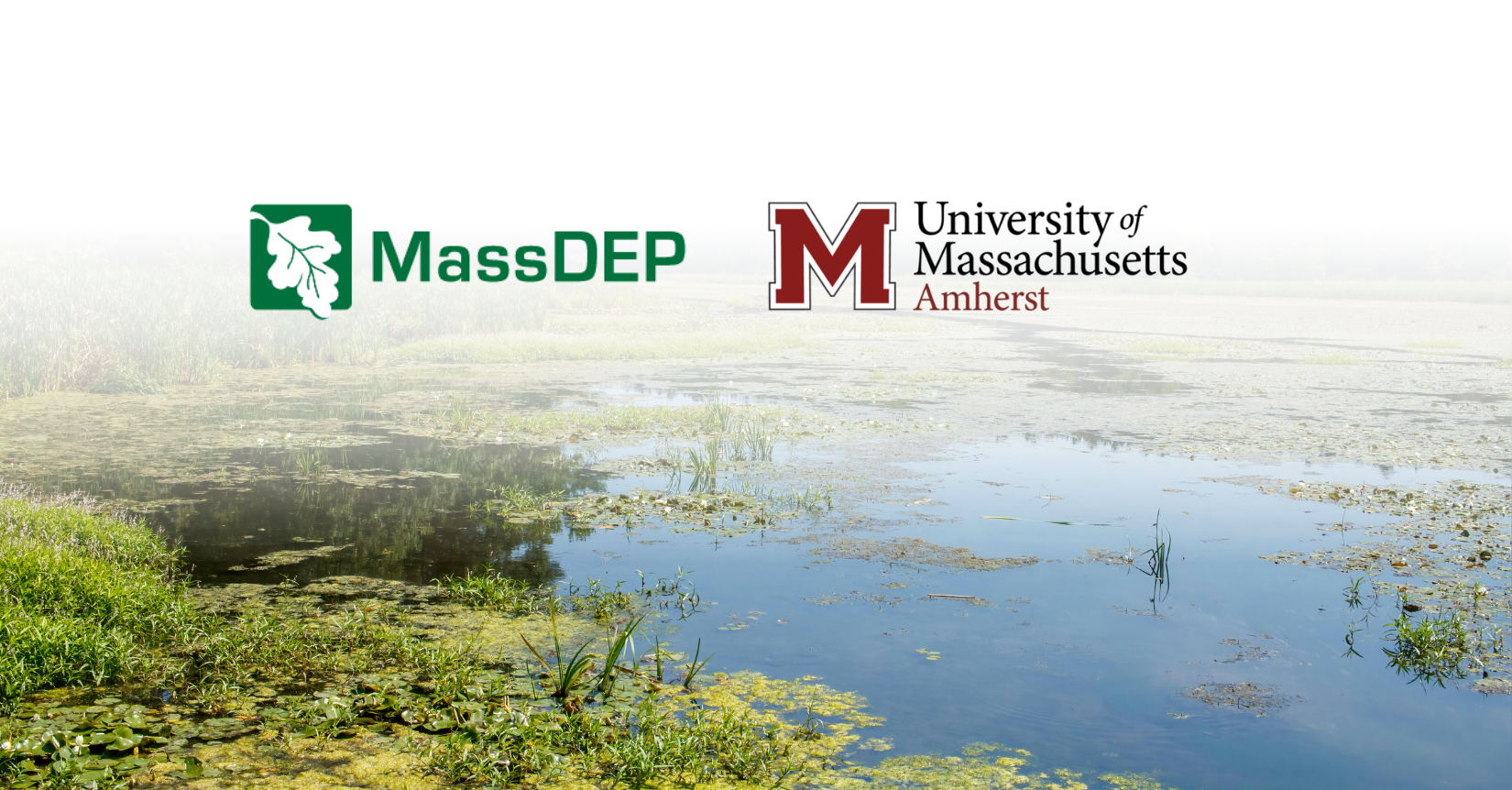 Scenic Wetland View in Northampton, Massachusetts by Tim Dusenberry