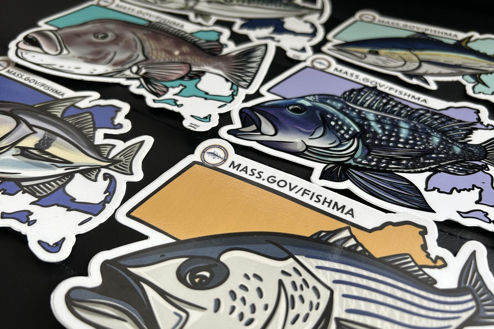 Saltwater fish stickers.
