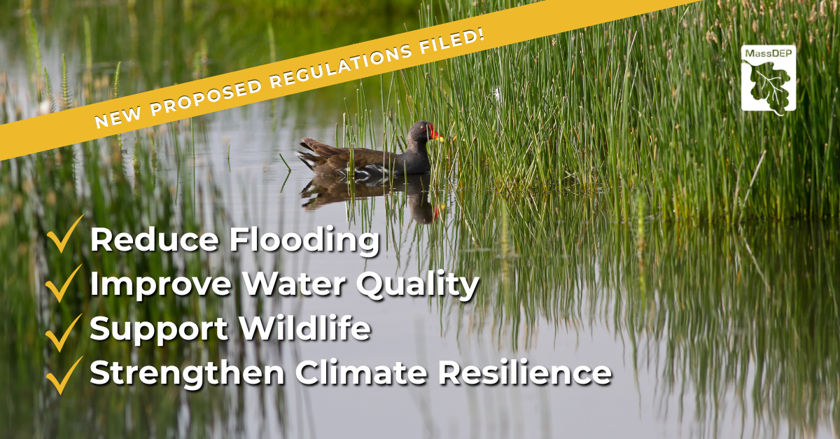 New Proposed Ecological Restoration Regulations Filed 