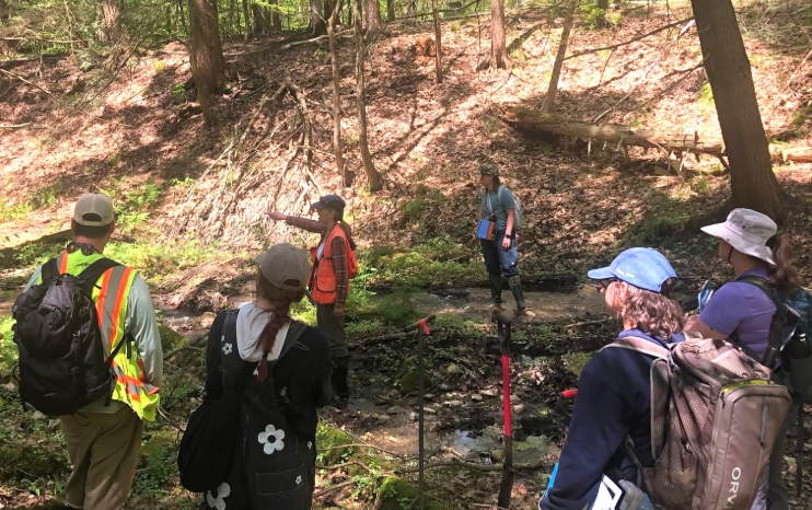 A group of people walk on a trail