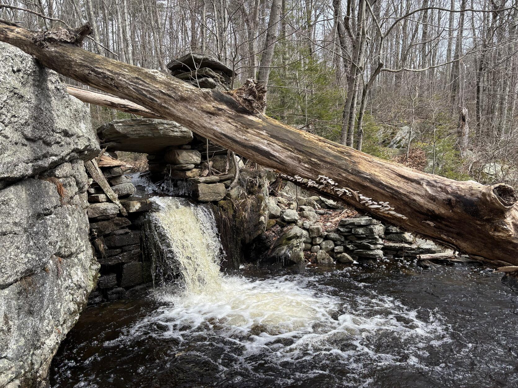 Water flowing over a small stone dam.