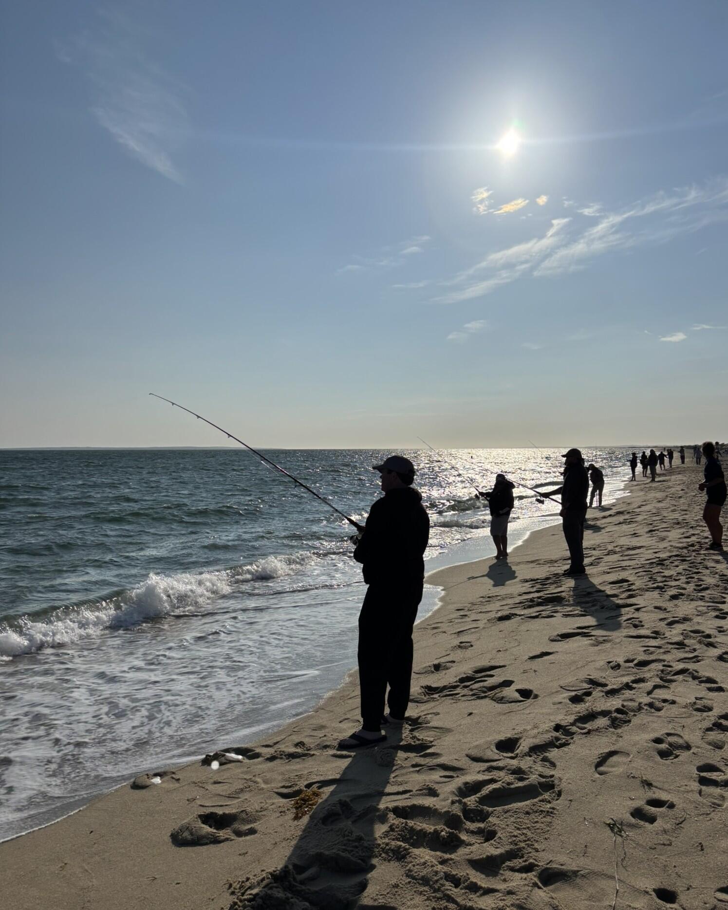 Anglers surfcasting on a beach.