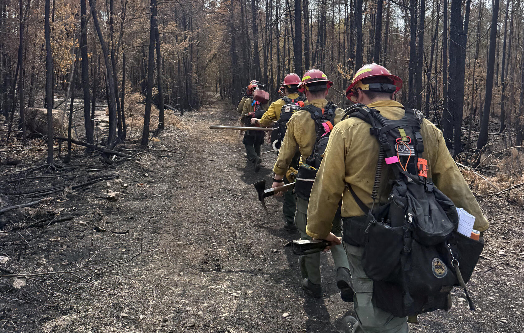 firefighters walking on a forest road