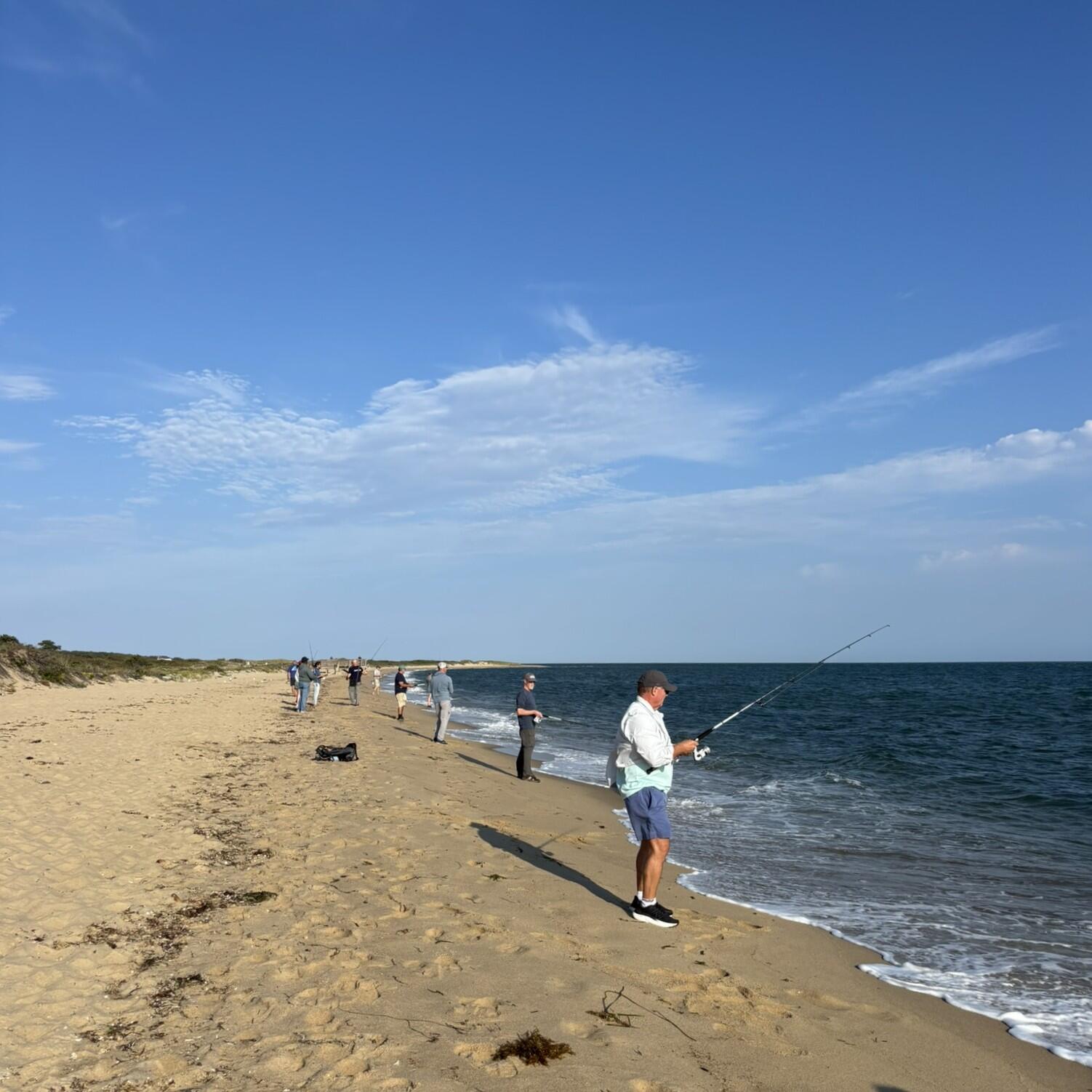 Anglers surfcasting from a beach.