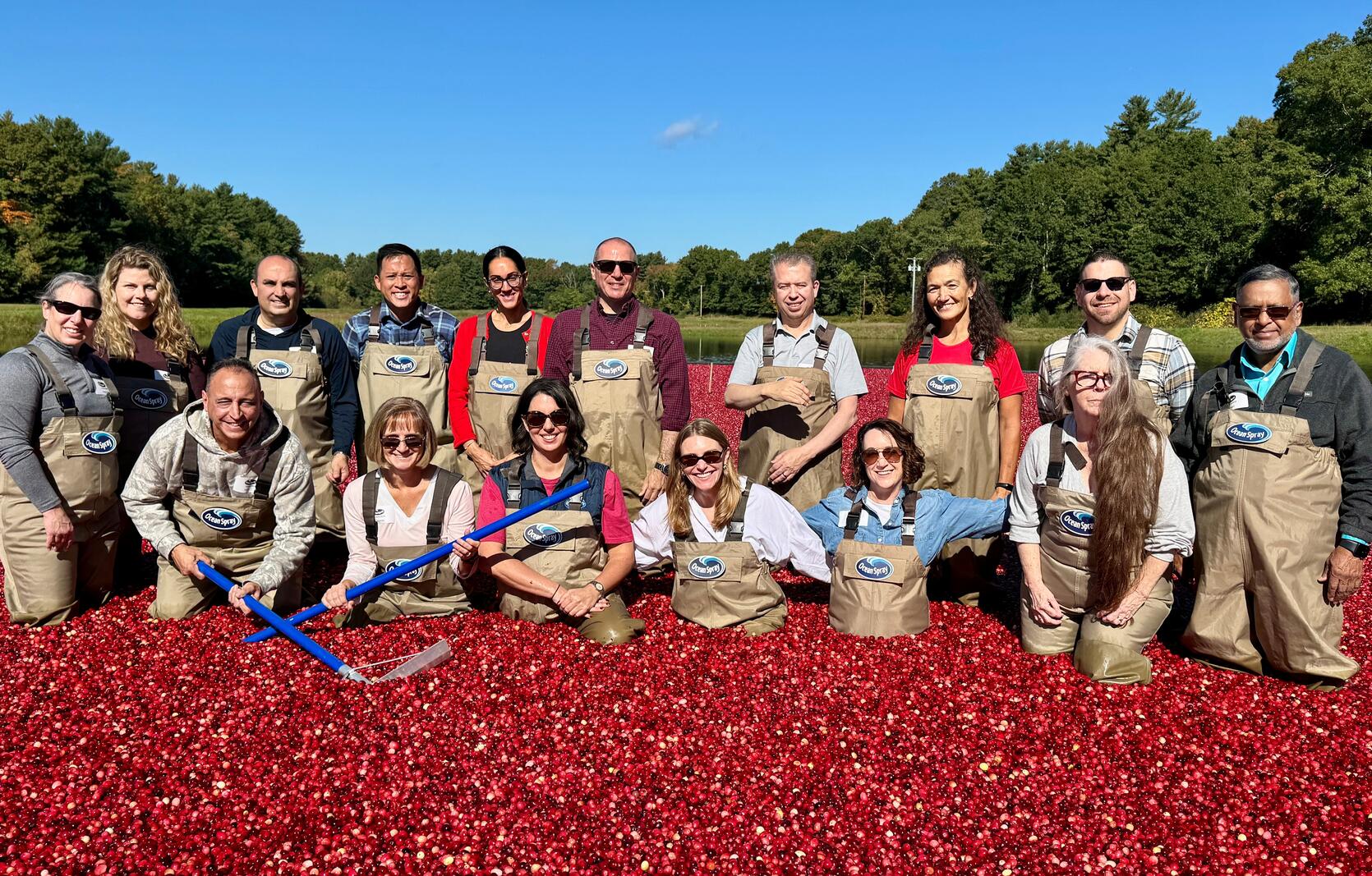 A group of educators, DESE employees and Ocean Spray staff stand in a group posing for a photo in a cranberry bog. Red cranberries fill the foreground and a blue sky and trees are in the background.