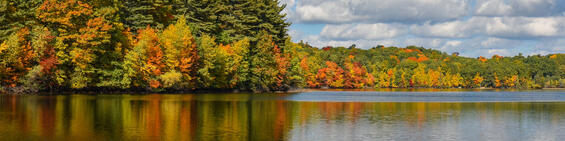 Lake in autumn