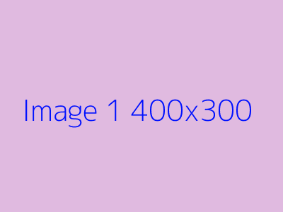 Image 1 alt