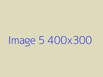 image 5 alt