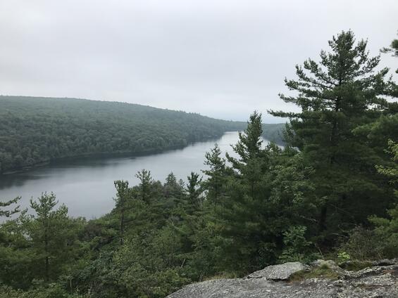 View from a vista on Mount Washington