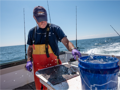 dmf biologist with fish