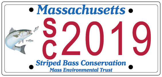 Striped Bass License Plate
