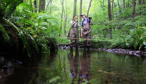 DER staff measure streamflow