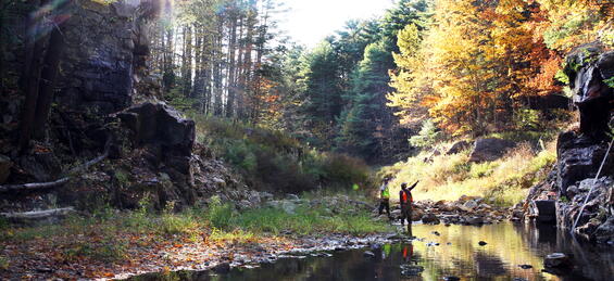 DER staff at a site after dam removal