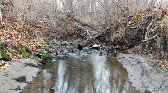 Brook with eroding and unstable banks.