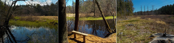 Nemasket River
