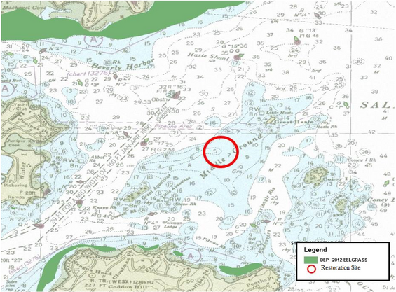 Location of planting area