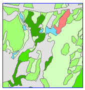 sample of prime forest map