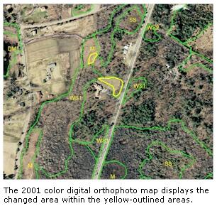 wetlands change image 3