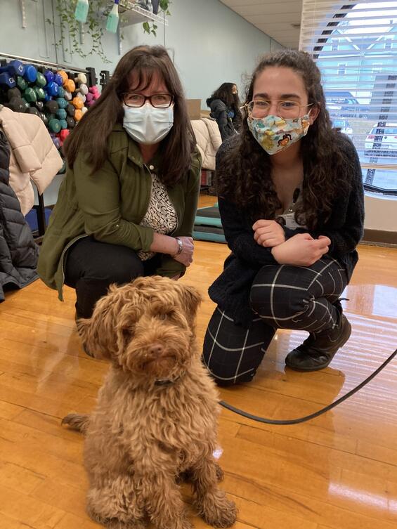 Comfort dog in training, Brownie McSnuggles, visiting a vaccination clinic at the Greater Lowell YMCA
