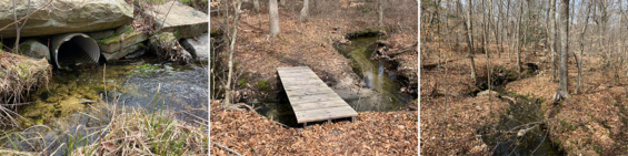 Collage of Lyons Brook.