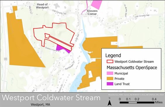 Westport coldwater stream location.