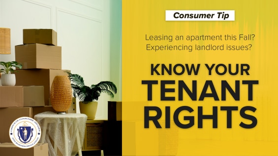 Graphic Image for Tenant Rights Blog Post