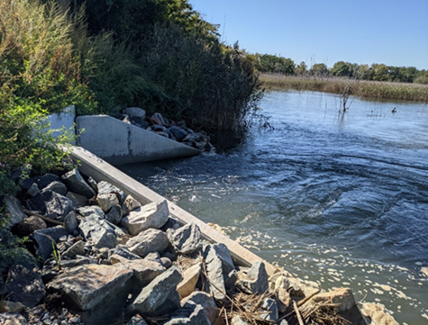 Crescent Marsh after restoration