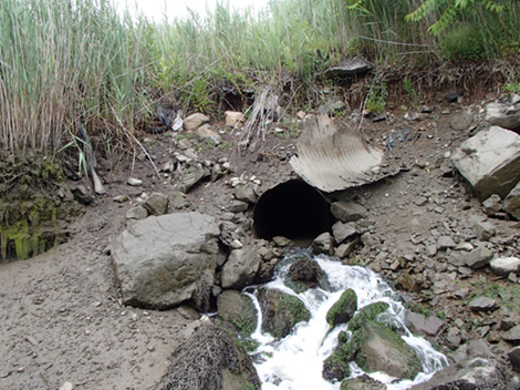 Crescent Marsh before restoration