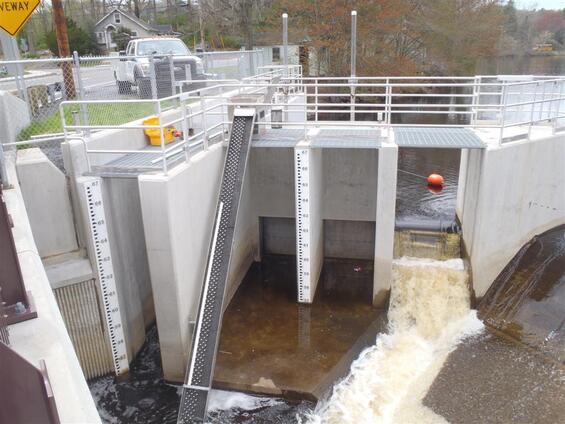 Morey's Street Dam eel ramp