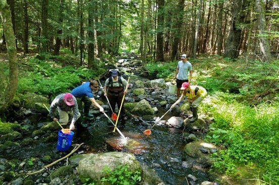 Tier 2A Fluvial Geomorphology training: 1-Day Field Trip