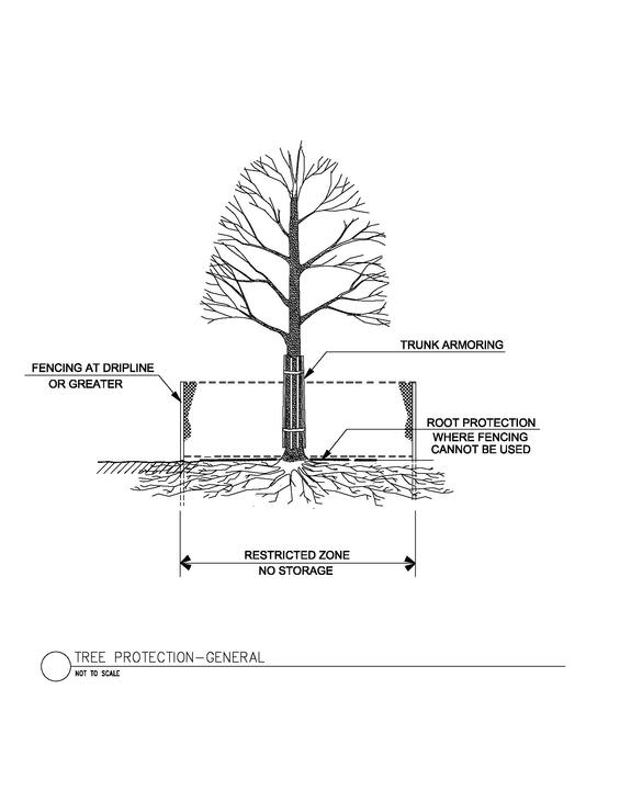 Tree with fence protection around root zone to protect it during construction.