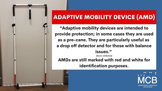 Graphic, adaptive mobility device