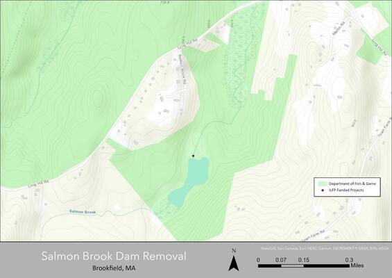 Map of Salmon Brook dam removal area.
