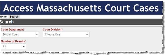 Figure 3. Search Screen showing Court Division field