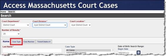 Figure 4. Search Screen with Tabs