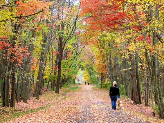 The Norwottock Rail Trail is an 11 mile path linking Northampton, Hadley, and Amherst along the former Boston & Main Railroad right-of-way