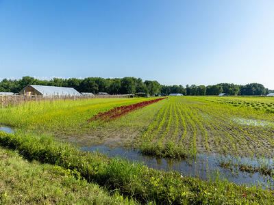 Rural Affairs | Mass.gov