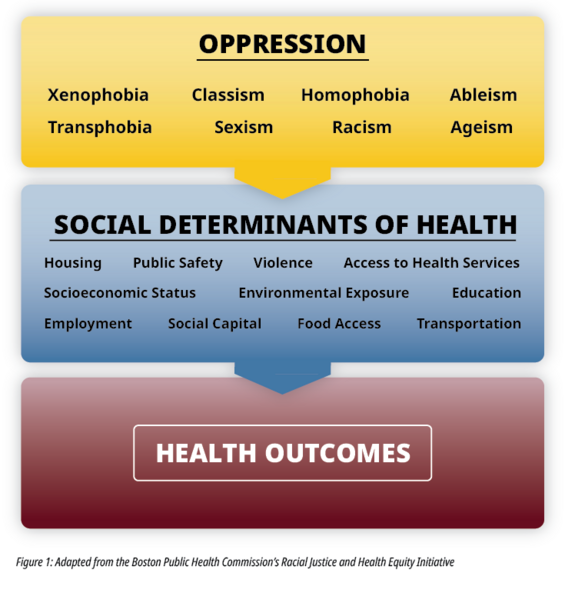Image that shows the various forms of oppression that impact the various types of social determinants of health, that then impact health outcomes.